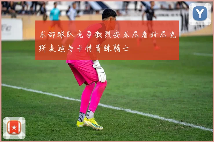 东部球队竞争激烈安东尼看好尼克斯麦迪与卡特青睐骑士