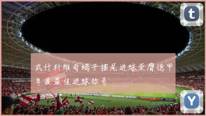 武什科维奇蝎子摆尾进球荣膺德甲年度最佳进球称号